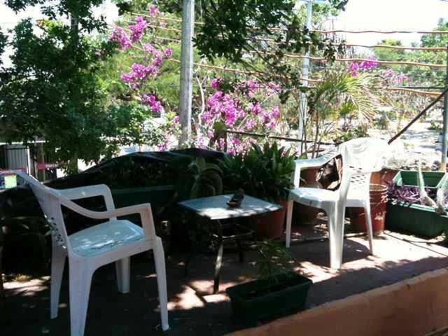 Mayan Hostel Cancun Exterior photo